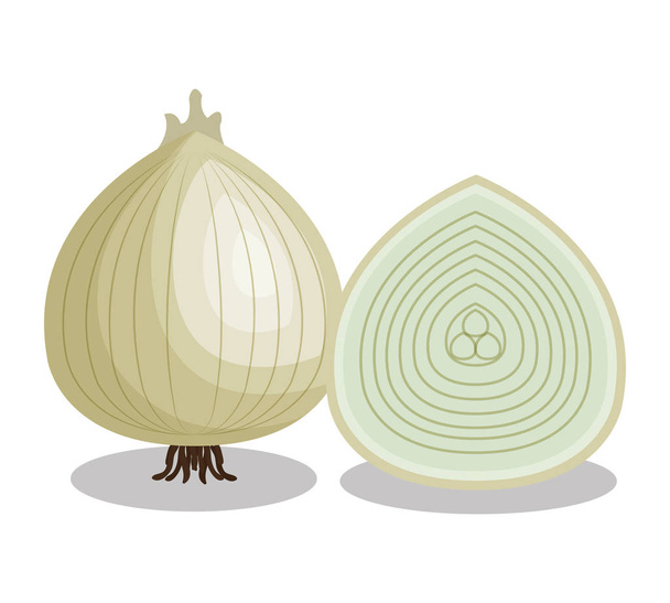 fresh onion vegetable isolated icon - Vector, Image