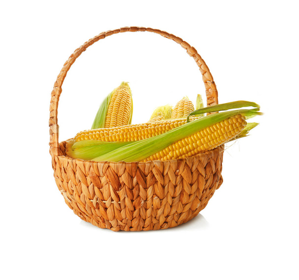Fresh sweet corn in basket - Фото, изображение