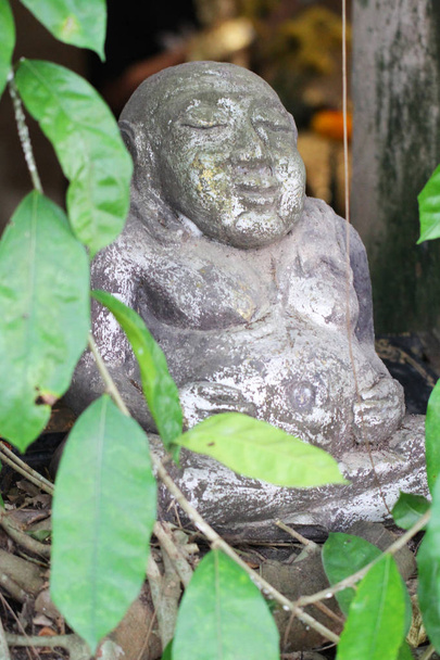 μικρό αρχαίο άγαλμα του Βούδα που περιβάλλει το δέντρο πράσινο φύλλο - Φωτογραφία, εικόνα