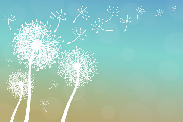 dandelion on a wind loses the integrity - Vector, Image