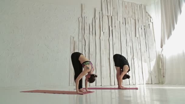 Sportieve man en vrouw doen ashtanga yoga - Video