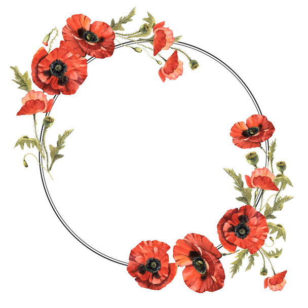Wildflower poppy flower wreath in a watercolor style isolated. - Фото, зображення