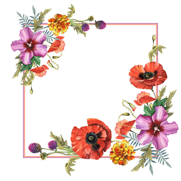 Wildflower poppy bloem frame in een aquarel stijl geïsoleerd. - Foto, afbeelding