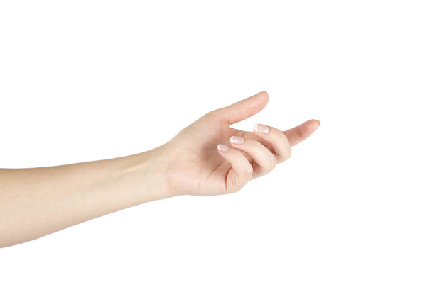 Woman's hand on a white background. Isolated. - 写真・画像