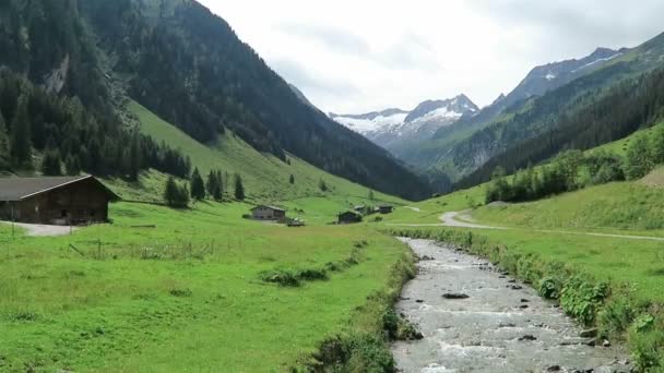 草原、納屋ストリームとツィラー渓谷の風景。チロル (オーストリアの Schoenachtal 渓谷にあります。). - 映像、動画