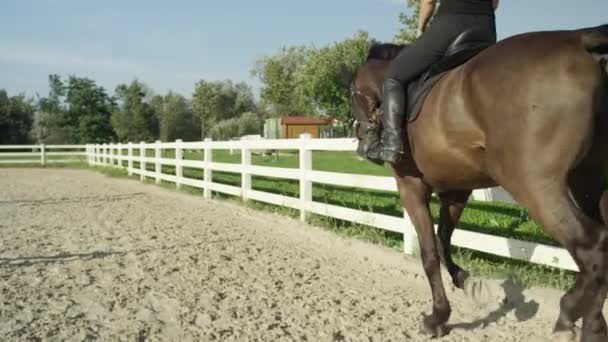 jezdce na koních koně - Záběry, video