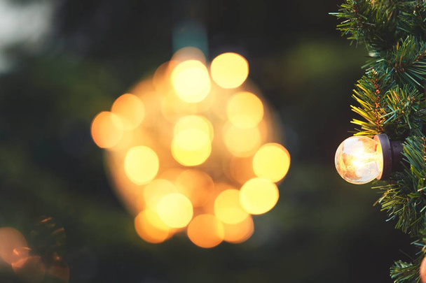 Bulb on the christmas tree - Photo, Image