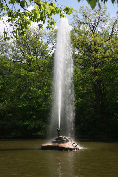 Fountain in park - Photo, image