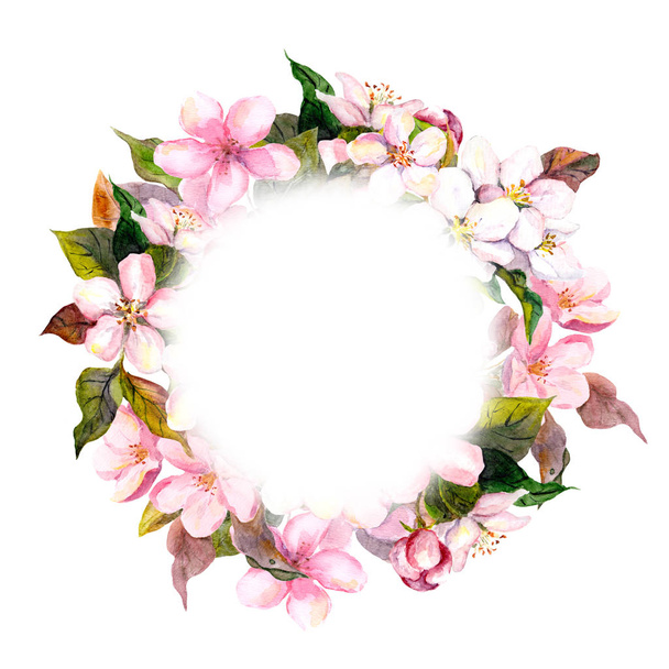 Floral round wreath - pink flowers, apple, cherry blossom for postcard. Aquarelle - 写真・画像