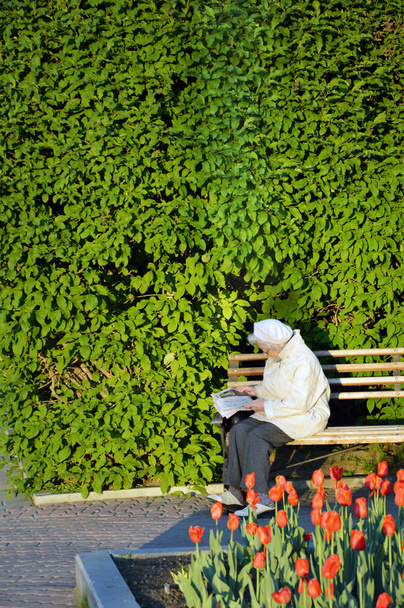 Mature white Europeans reading a newspaper while sitting on a park bench on a background of dense shrubbery - Foto, afbeelding