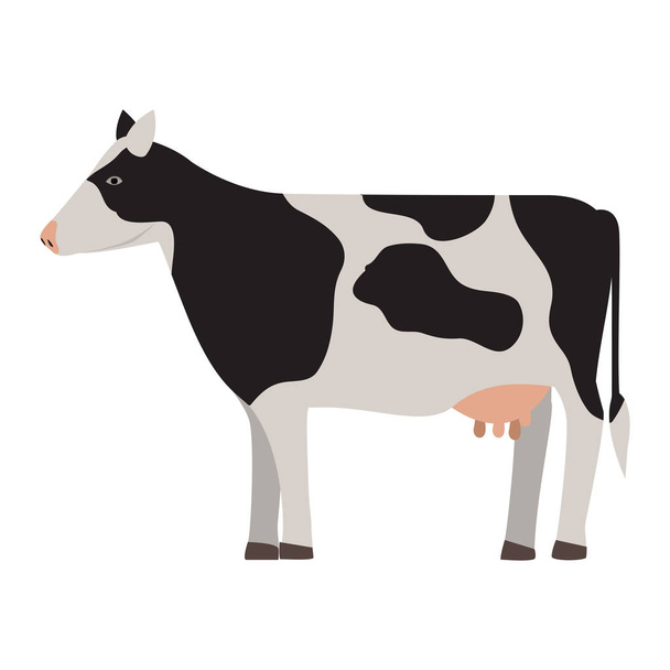 sylwetka kolorowy krowa z miejsca - Wektor, obraz