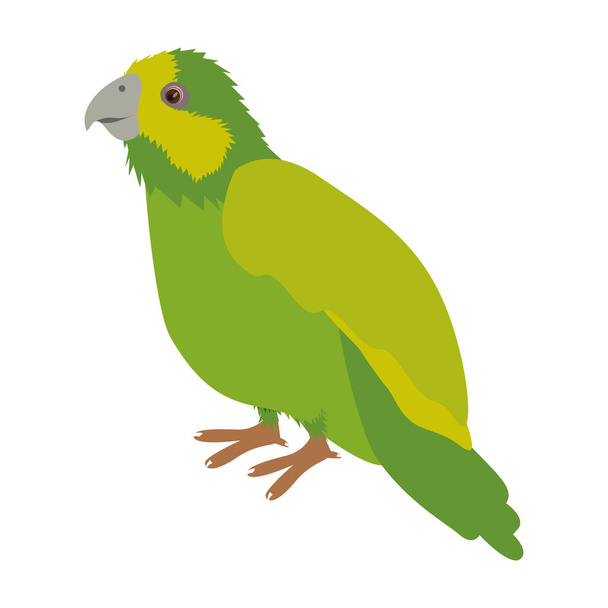 silhouette green parrot animal bird - Vector, Image