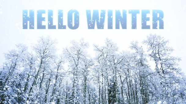 Hallo Winter Worte auf Winter Hintergrund - Foto, Bild