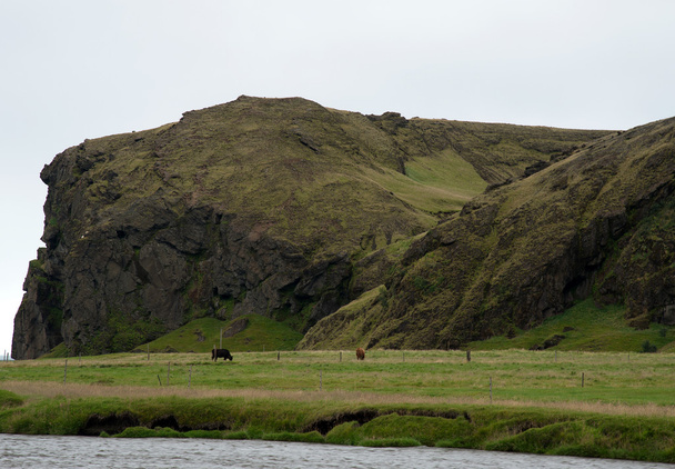 Islanda - Islanda meridionale - alla cascata Skogafoss
 - Foto, immagini