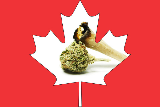Marihuana y cannabis en Canadá; negocio canadiense de drogas
  - Foto, imagen
