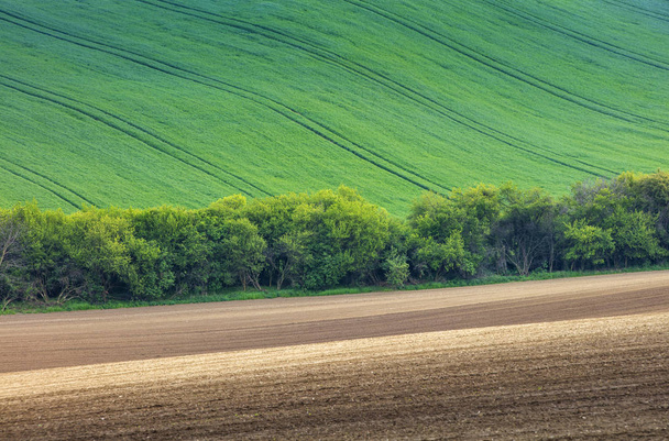 abstract lines in spring fields - Photo, Image