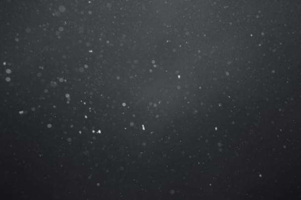 Falling snow close up - Photo, Image
