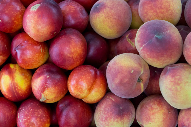 Group of fresh peaches and nectarines - Photo, Image