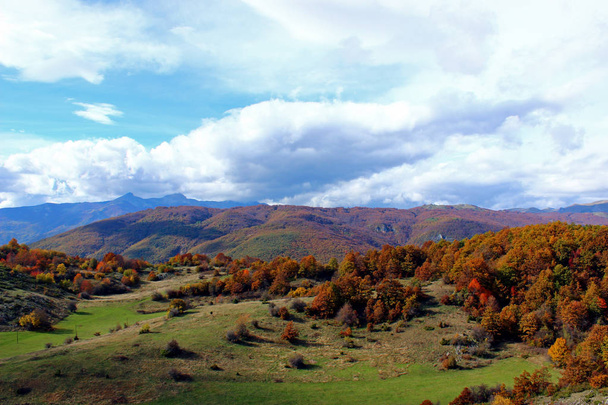 Осенние пейзажи в природе
 - Фото, изображение