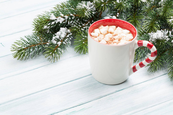 Christmas fir tree and hot chocolate - Foto, immagini