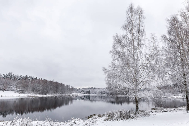 Біле зимове пейзажне озеро в лісі
 - Фото, зображення