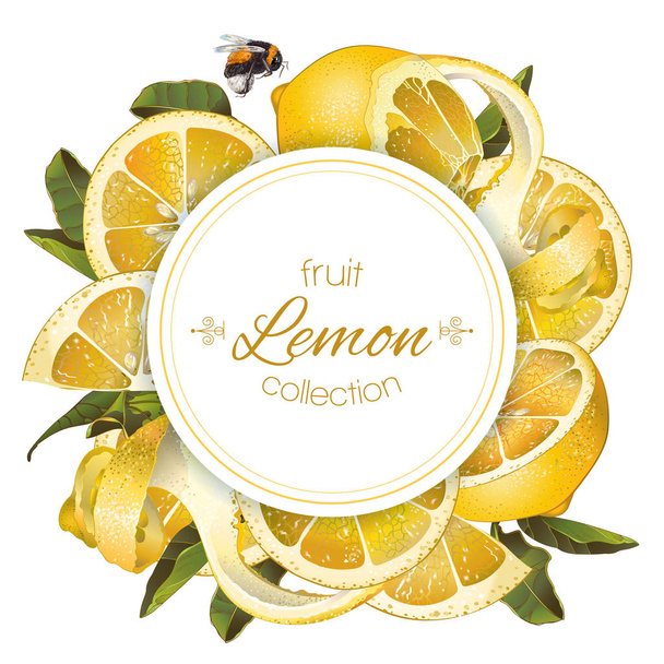 Lemon round banner - Vektor, Bild