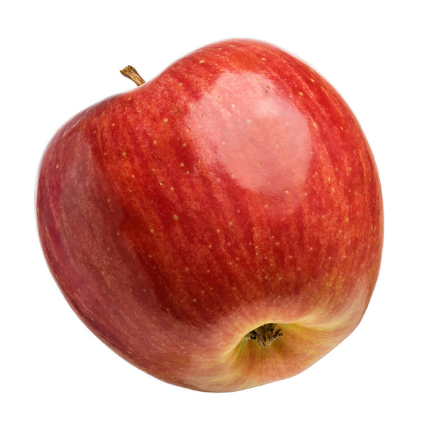 Singola mela fresca su bianco
 - Foto, immagini