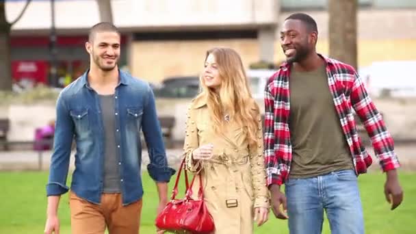 Multiraciale groep vrienden wandelen  - Video