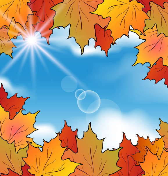 Foglie d'autunno acero, cielo, nuvole
 - Foto, immagini