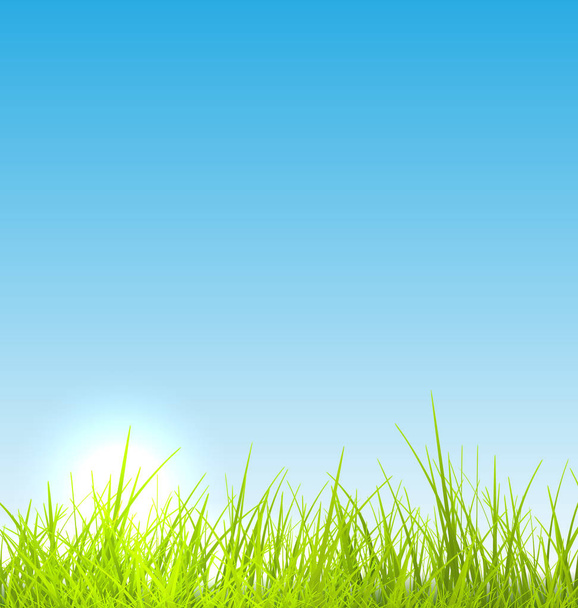 Verse groene gras en blauwe hemel achtergrond in de zomer - Foto, afbeelding