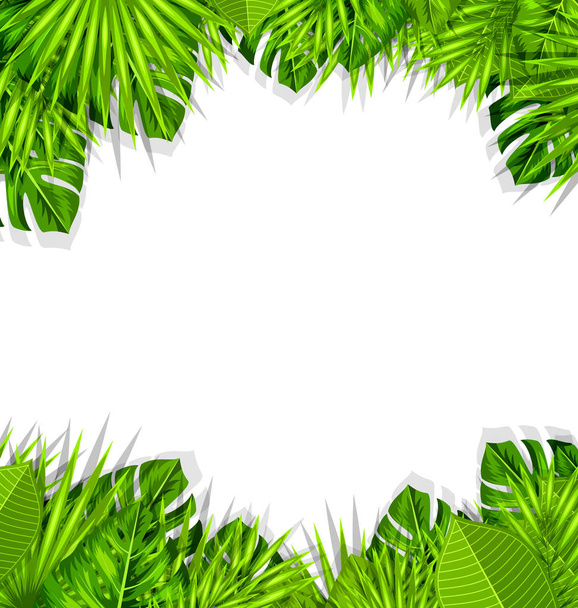 Summer Fresh Background with Tropical Leaves - Foto, Bild