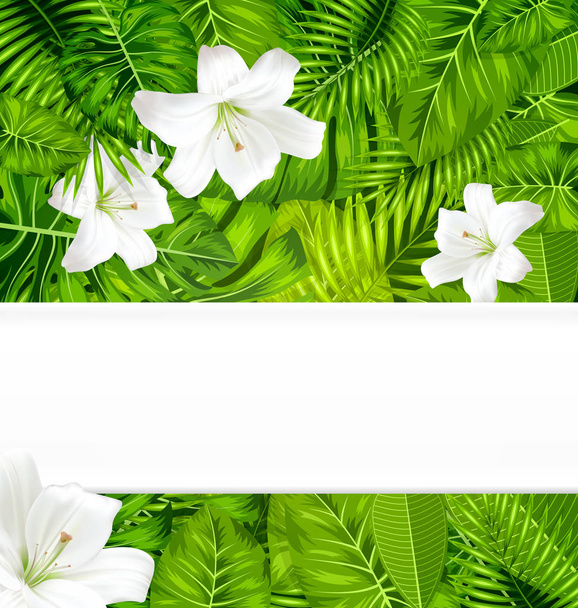 Frame branch tropical leaves and white flowers lily - Fotó, kép