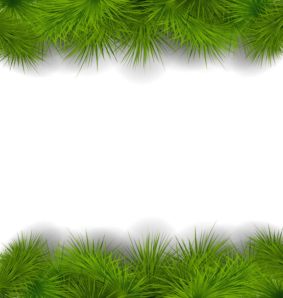 Christmas frame made in realistic fir twigs - Фото, изображение