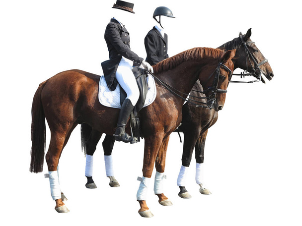 Вершник одягу чоловік і жінка з двома конями ізольовані на білому
 - Фото, зображення