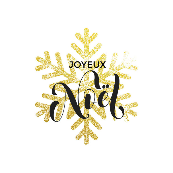 French Merry christmas Joyeux Noel snowflake greeting card - Vector, Imagen