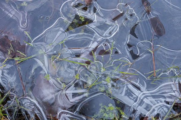 Jäässä jäädytetty vihreä ruoho
 - Valokuva, kuva