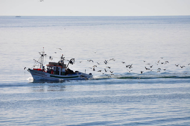 Fishing boat in the sea. Return to port. Algarve - Φωτογραφία, εικόνα