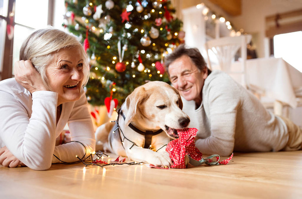 Pareja mayor con perro delante del árbol de Navidad
 - Foto, imagen