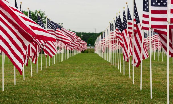 American Field of Flags muistopäivänä
 - Valokuva, kuva