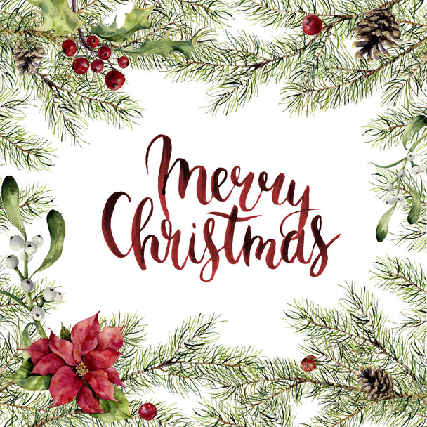 水彩のメリー クリスマス プリントです。モミ枝ヒイラギ、ヤドリギ、ポインセチア、メリー クリスマスの文字。デザイン、印刷のための装飾や背景との新年ツリー国境 - 写真・画像