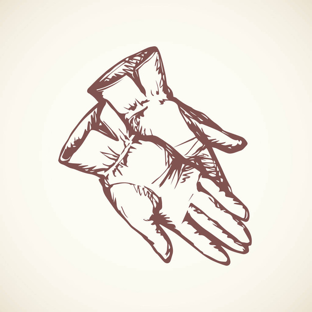Gloves. Vector drawing - Vetor, Imagem