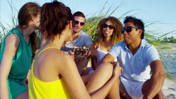 φίλοι χαλαρώνοντας στην παραλία  - Πλάνα, βίντεο