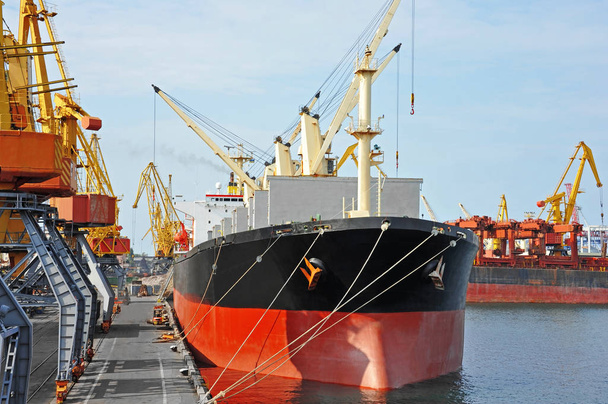 χύδην φορτίου πλοίου υπό λιμάνι γερανός - Φωτογραφία, εικόνα