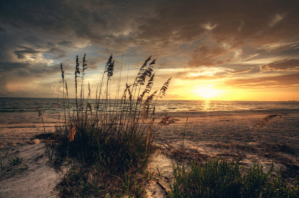 Füves és strand sunset - Fotó, kép