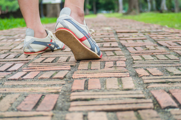Walk on the walkway of brick. - Photo, Image