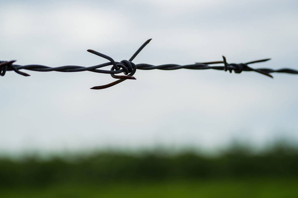 Barbed wire in the dark. - Photo, Image