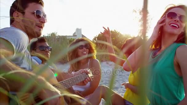  Freunde genießen Picknick am Strand - Filmmaterial, Video