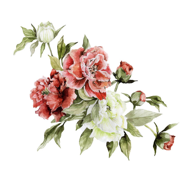 Peonies red and white. Hand drawn watercolor illustration - Foto, immagini