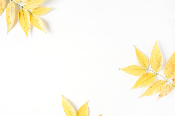 Composição de leigos plana na moda com folha de outono
 - Foto, Imagem