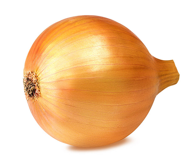 onions isolated on white  - Photo, Image